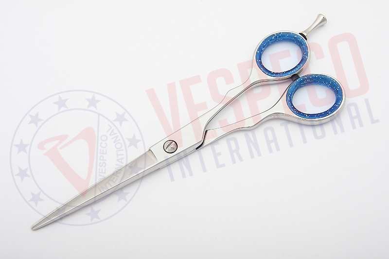 Professional Hairdressing Scissors